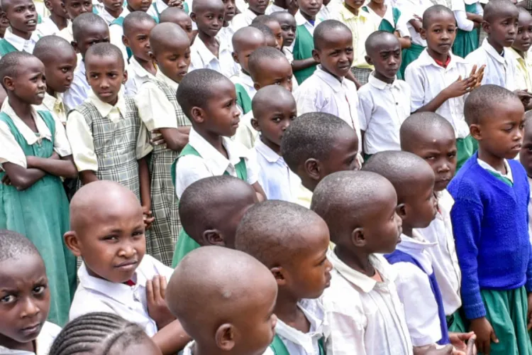 How Kenya’s Secondary School Placement Will Work Under the New Career Pathway Model