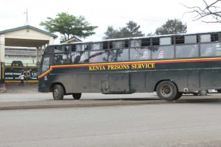 Kenyan Senators Demand Action Over Rising Deaths in Police and Prison Custody