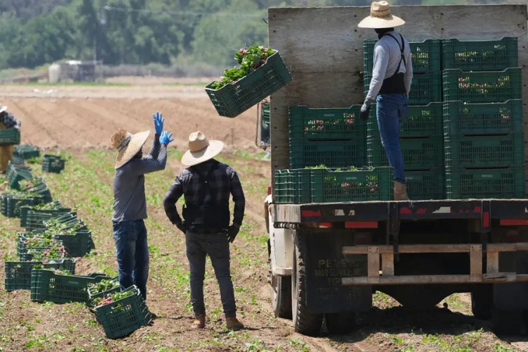 ICE Raids Resume Nationwide as Trump Targets Undocumented Workers