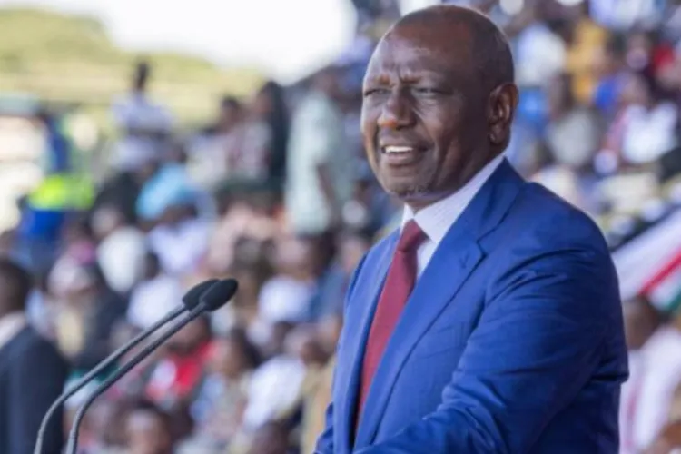 Gen Z’s Influence Shapes National Celebrations in Nairobi