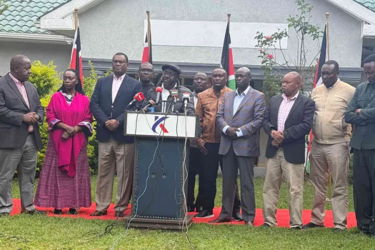 Opposition Urges Kenyans to Boycott Pro-Government Firms