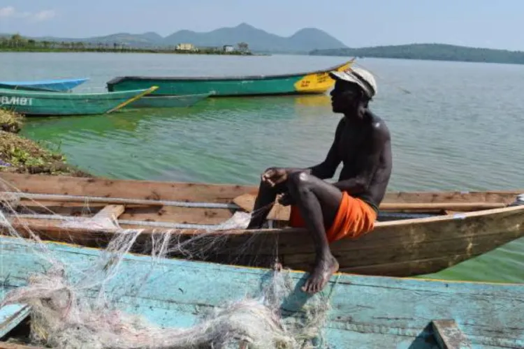 The Hidden Threat That Could Wipe Tilapia Off East African Menus