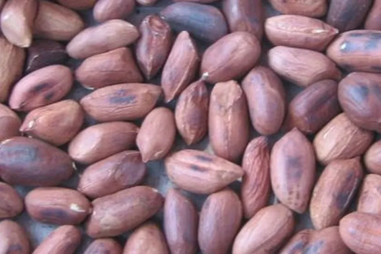 KEBS Cracks Down on Uncertified Goods in Karen, Ngong, and Kiserian