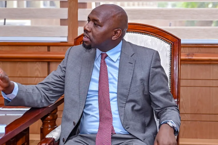 Over 500,000 Kenyans Using Cannabis as Drug Abuse Spreads Across Counties