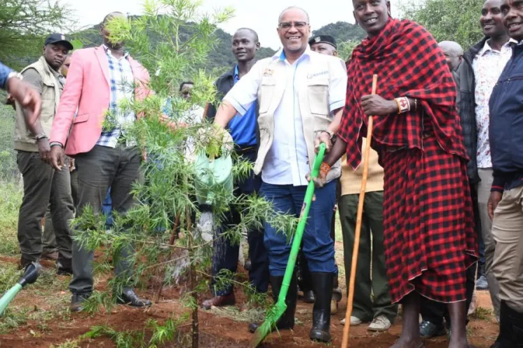 Kenya’s Ambitious Plan to Plant 15 Billion Trees by 2032