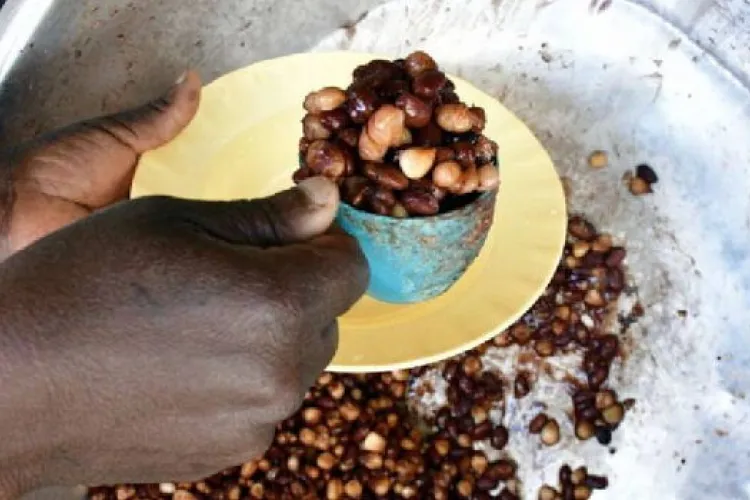 Kilifi County Halts School Feeding Programme After Pupils Made to Recite Hindu Prayers