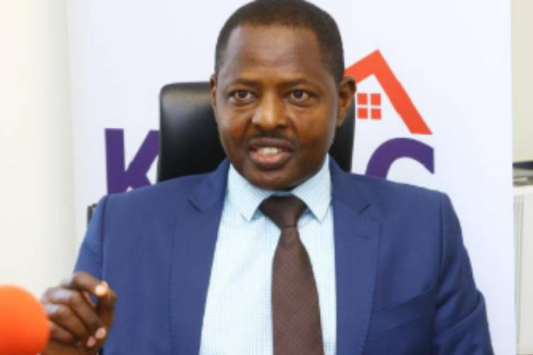 Kenya Considers Temporary Land Titles to Ease Housing Transfer Delays