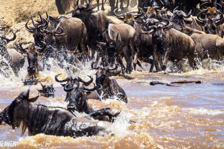 Africa’s Tourism Sector Faces Hurdles in Adopting Digital Technology