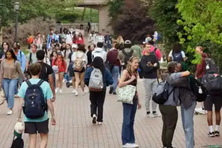 US Universities See 17% Drop in International Students Amid Stricter Visa Rules