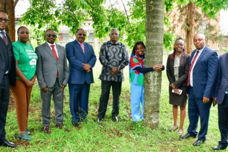 22-Year-Old Activist Truphena Muthoni Sets Out to Hug Tree for 72 Hours in Deforestation Protest
