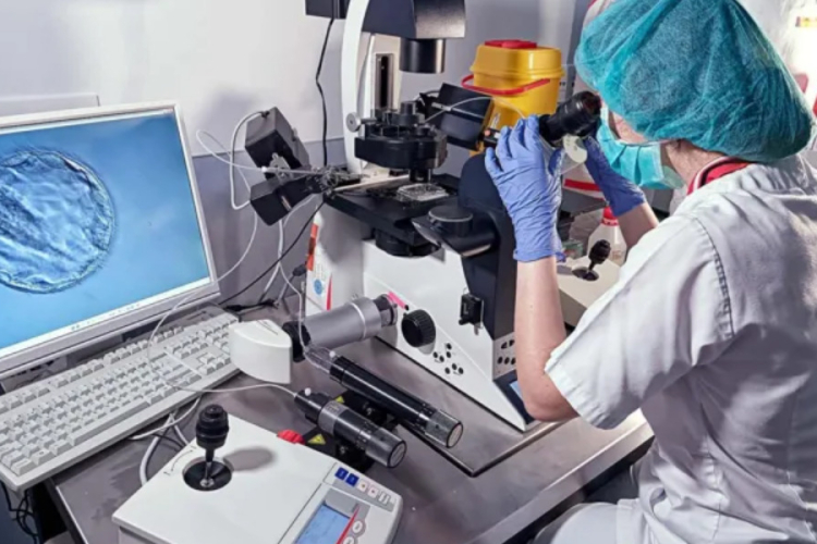 Sperm Donation Scandal: Cancer Gene Passed to 197 Children Across Europe