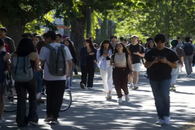 International Student Arrivals in Canada Fall 60% in 2025