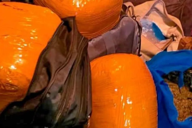 Kibra Drug Bust: Police Nab Four, Recover Suspected Bhang