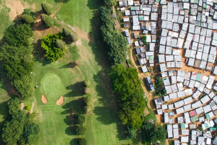 Planting for Justice: How Mathare Residents Turn Trees into Memorials