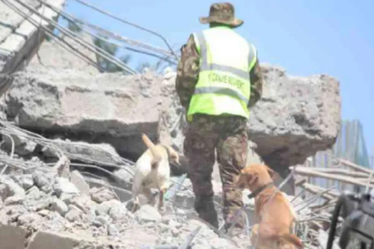 Anguish as Two Guards Remain Missing After South C Collapse 