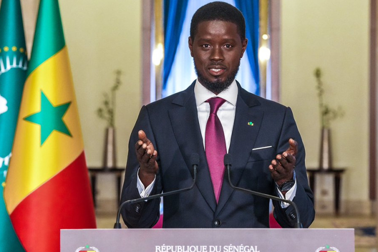 Senegal Announces National Holiday to Celebrate AFCON Victory