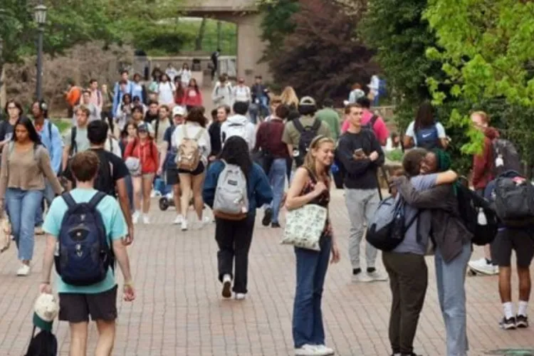 US International Student Numbers Hit Record High, Driven by OPT Growth