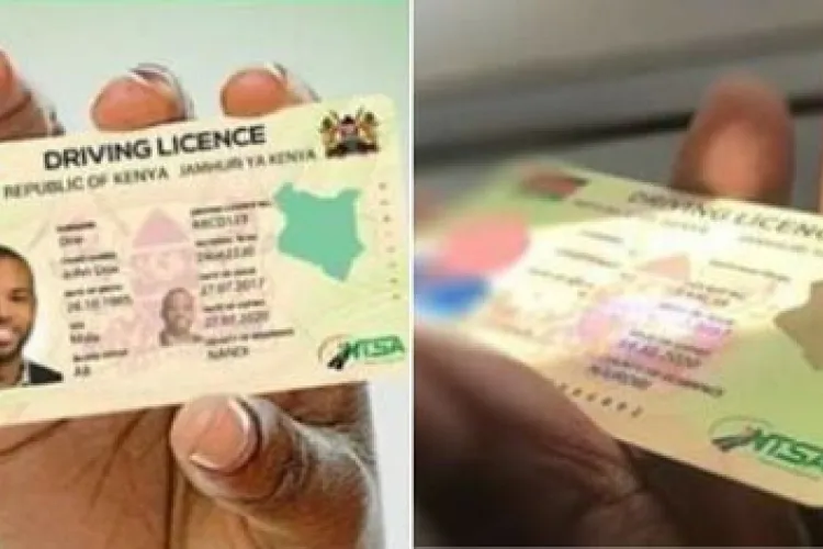 How the Redesigned IDP Helps Kenyans Drive Abroad Without Legal Hassles