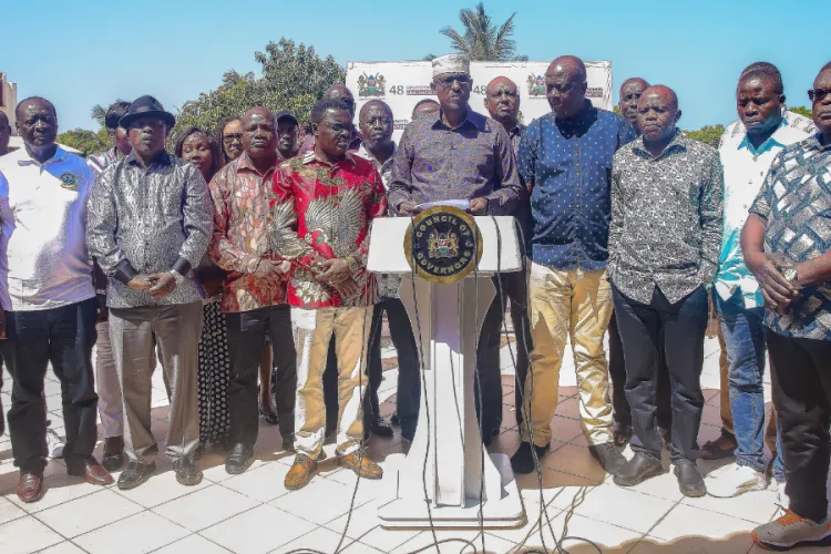 Council of Governors Accuses Senators of Bullying and Extortion