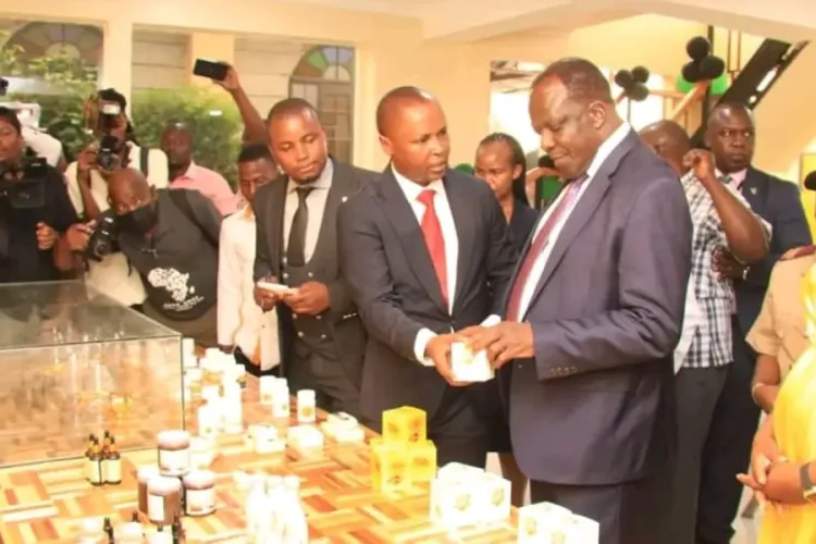 Kenya Launches Africa’s First Bee Venom Marketplace for Farmers
