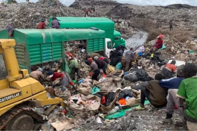 Court Awards Compensation to Dandora Waste Pickers Over Rights Violations