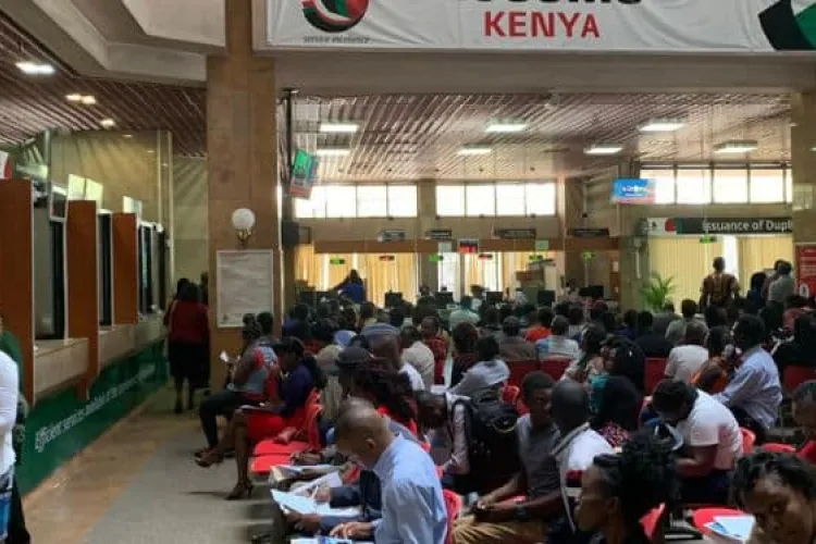 How to Correct Errors on Official Documents in Kenya
