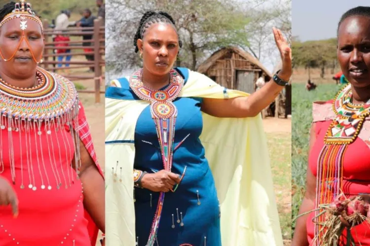The Millionaire Women Building Wealth in Kenya’s Arid Lands