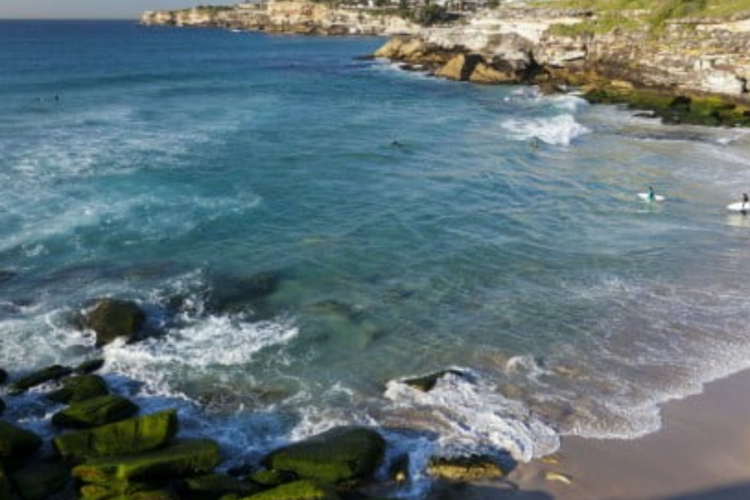 Tragedy Strikes Diaspora: Three Kenyans Die in Unrelated Incidents Across Australia