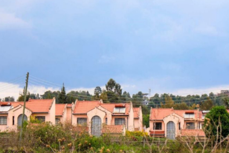 Memusi: A 700-Home Estate Designed for Ownership, Not Rentals