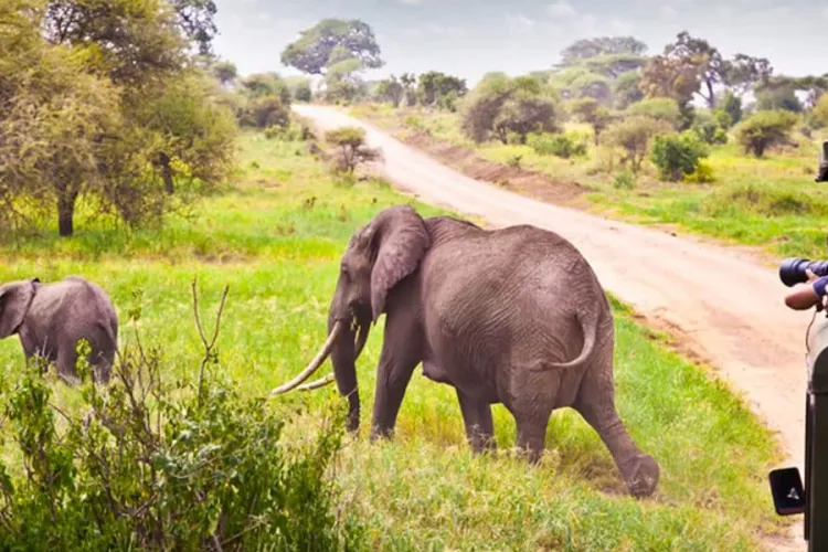 Kenya Tourism Hits Record Sh500 Billion in 2025