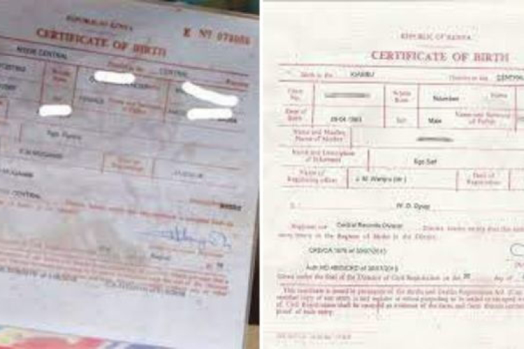 Kenya to Allow Online Download and Printing of Birth Certificates via eCitizen