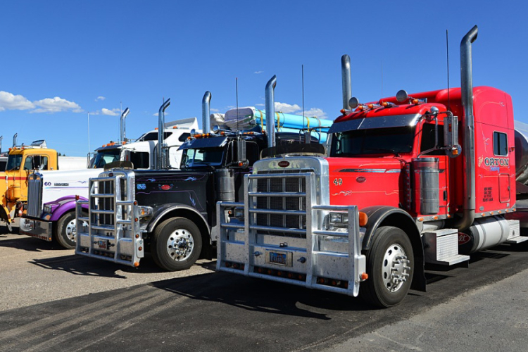 Kenyan Trucker Recounts Three-Week ICE Detention After Routine Cargo Stop