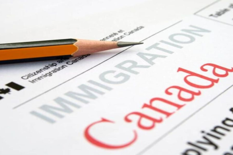 Received Canadian Citizenship Certificate? Some Citizens Asked to Return Certificates