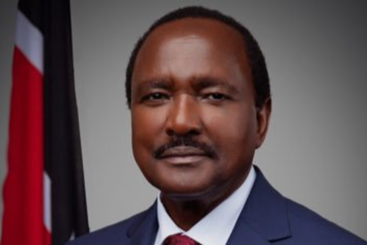 2027 Bid: Kalonzo Vows to Dismantle State Capture