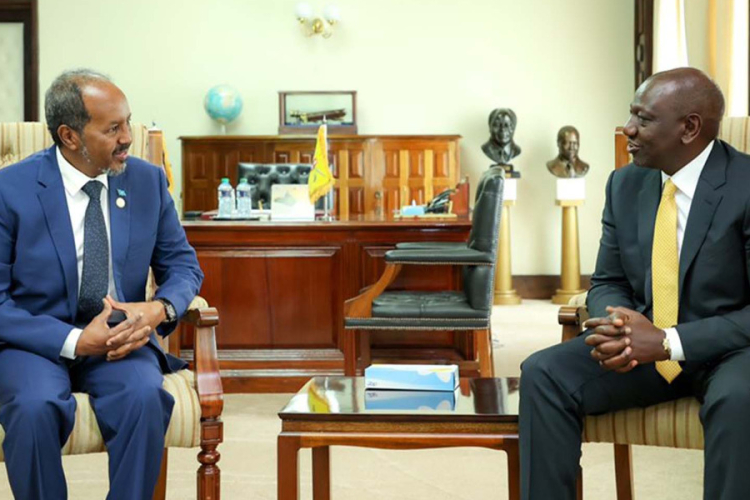 Somali President Orders Officials to Surrender Kenyan IDs or Quit Government