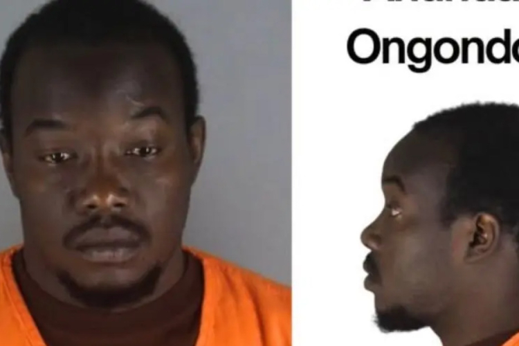 26-Year-Old Kenyan Charged With First-Degree Property Damage in Minnesota