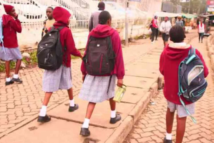 Kenya Schools to Observe 8am to 3:30pm Learning Hours, Ogamba Says