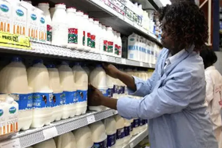 Kenya’s Milk Supplies Fall 3.7% as Dry Weather Cuts Production