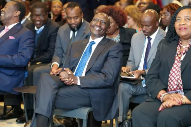 Kenyans Abroad Get New Digital Platform for Investment and Development Project