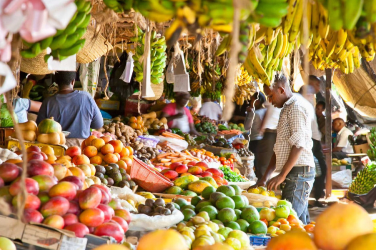 Kenya Warns of Cholera, Typhoid and Aflatoxin Risks Ahead of El Niño Rains