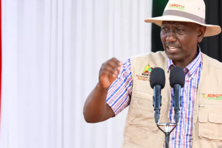 Ruto Warns Against Attempts to Block Dangote’s Sh2.9 Trillion Lamu Refinery
