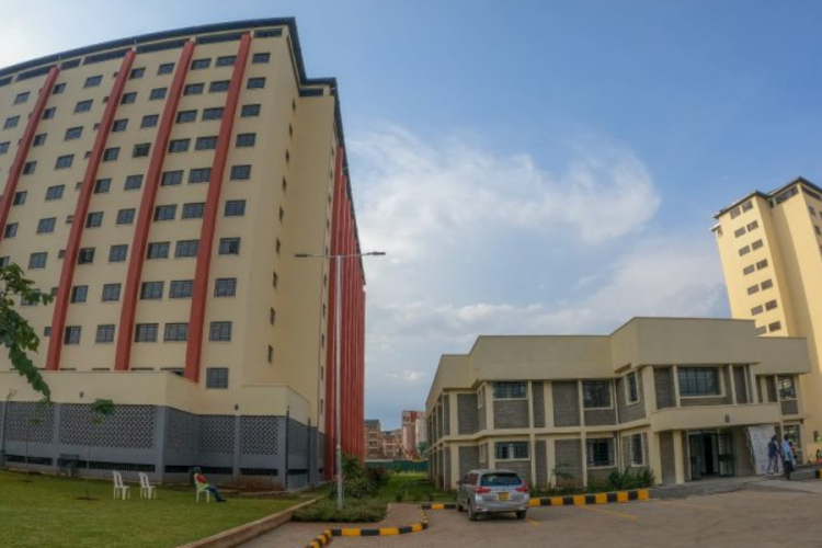 Diaspora Concerns Lead to Special Housing Plan for Elderly Kenyans