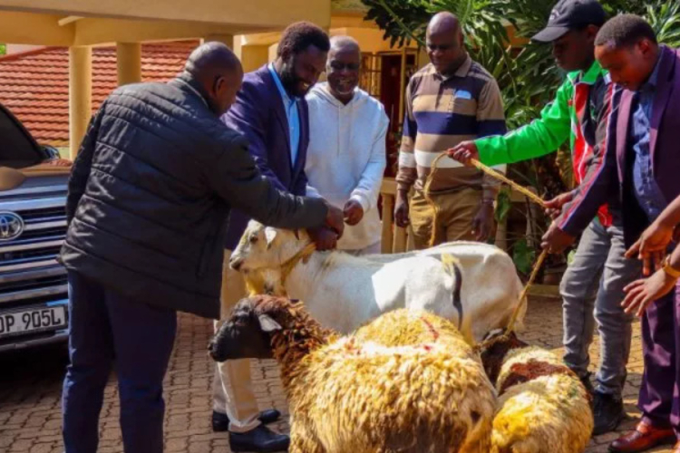 Methu Checks on Recovering Oburu, Brings Goats