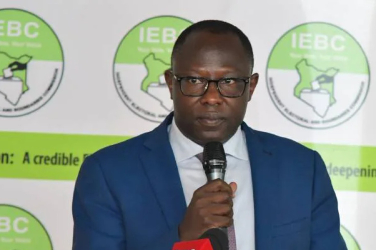 IEBC Ordered to Allow Audit of Voter Registration System