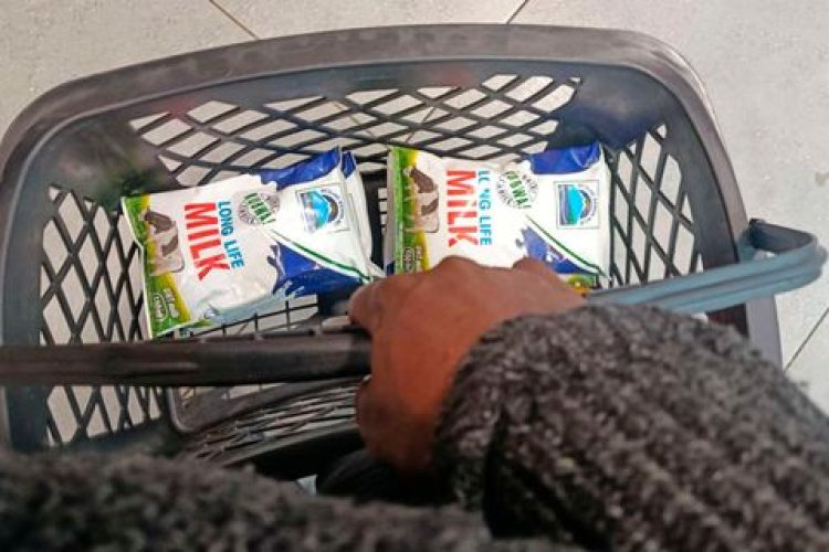 Kenya Faces Milk Shortage as Drought Cuts Dairy Production