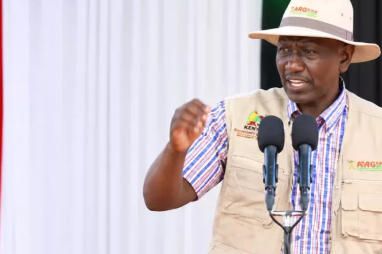 Ruto Announces KSh7.5 Billion Plan to Build 3,000 Houses in Lamu