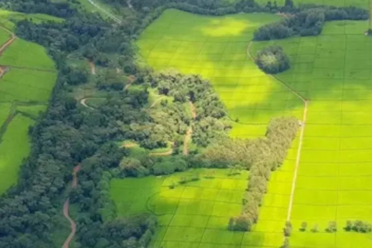 Kenyan Landowners Must Provide Clear Evidence to Challenge Fraudulent Transfers, Court Says
