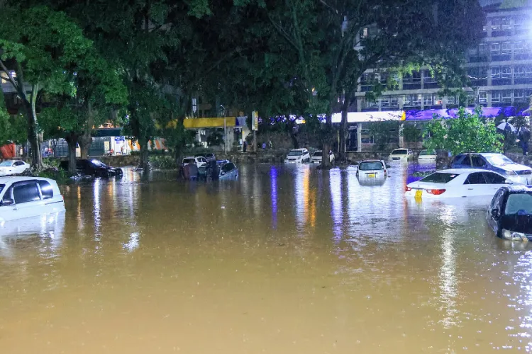 WMO Warns El Niño Could Be Among Strongest Recorded in More Than 70 Years