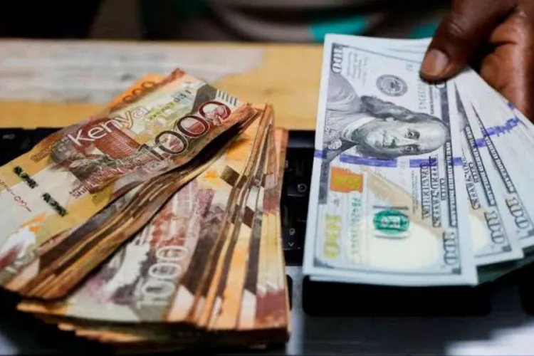Kenyans Abroad Send Less Money Home as Remittances Decline
