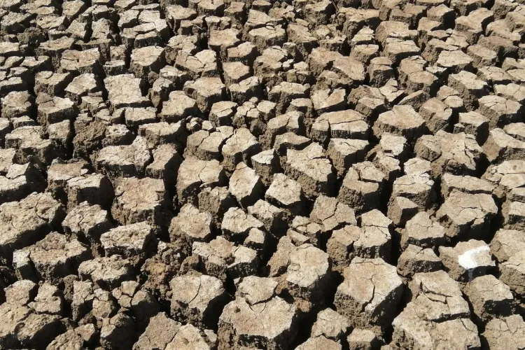 Record Dry Conditions Fuel Severe Drought in Wales, Sparking Global Water Concerns